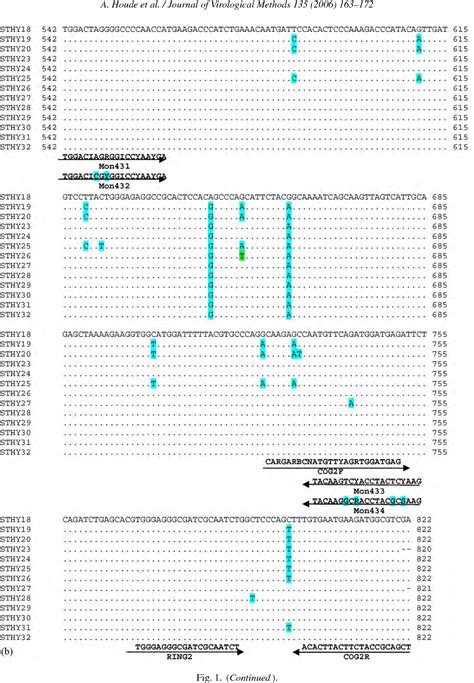 Figure From Comparative Evaluation Of Rt Pcr Nucleic Acid Sequence