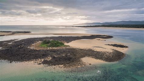 Penguin Island Tasmania Drone Photography