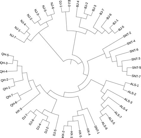 Phylogenetic Tree Construction By Maximum Likelihood Method Als