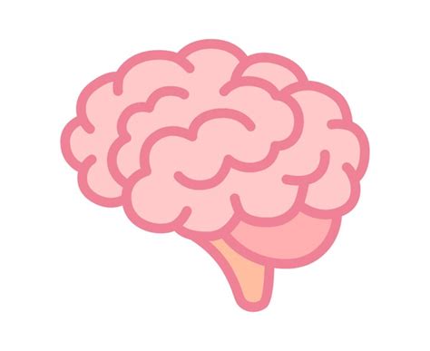 Human Brain Clipart