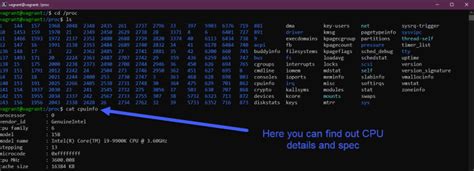 Demystifying Linux System Management Navigating Filesystem And Storage