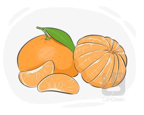 Traducción De La Palabra Tangerine Langeek