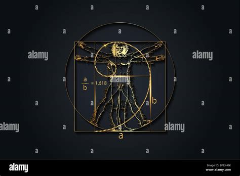 Golden ratio. Fibonacci Sequence number and Vitruvian Man by Leonardo ...