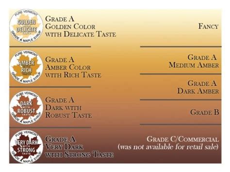 What's the difference between grade A and grade B maple syrup - Maple Syrup in Israel