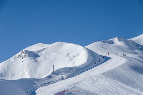 Cirque Du Lys 5910