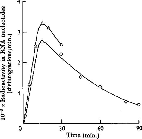 Figure From Biosynthesis Of Nucleic Acids In Bacillus Megaterium