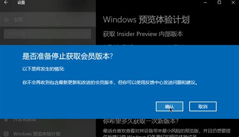 Windows 10停止更新预览版的技巧 系统之家