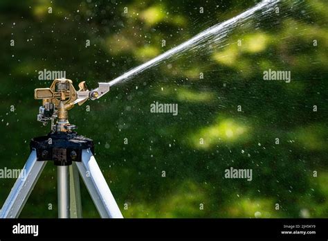 A Heavy Duty Brass Impact Sprinkler Head Watering The Lawn Shallow