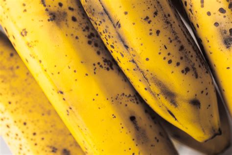 Aprenda Reutilizar Cascas De Banana Em Casa E Saiba O Que Fazer Ela