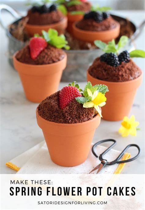 Spring Flower Pot Cakes Recipe Pot Cakes Flower Pot Cake Spring