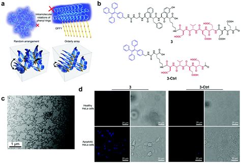 Peptide Based Supramolecular Hydrogels For Bioimaging Applications