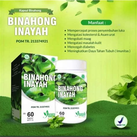 Jual Kapsul Daun Binahong Inayah Kapsul Shopee Indonesia