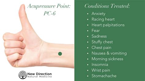 Acupuncture Point: PC-6