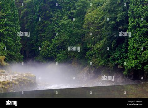 Vancouver Capilano Salmon Hatchery Hi Res Stock Photography And Images