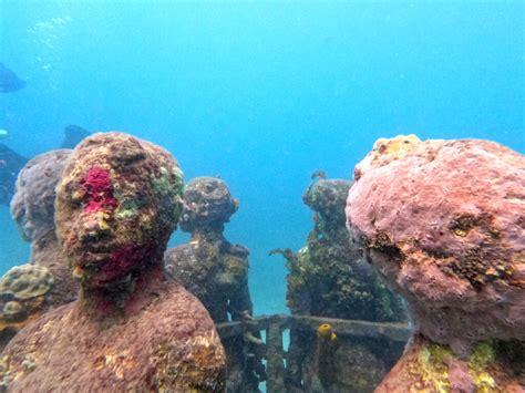 Grenada Underwater Sculpture Park A Snorkling Adventure