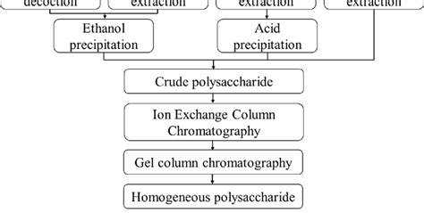 Extraction Separation And Purification Process Of Polysaccharides Download Scientific Diagram