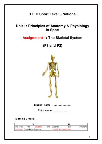 Level 3 Btec In Sport Sport Development By Andymotch Teaching Resources Tes