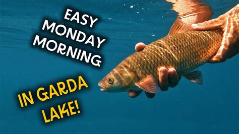 Lavezzinifly Easy Monday Morning In Garda Lake Pesca A Mosca Secca