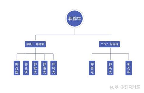 香格里拉四年三换cfo！郭鹤年千亿帝国的“外来和尚”不香了？ 知乎