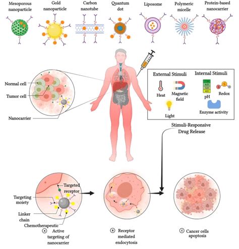 Stimulus Responsive Nanocarriers Adapted From Kaushik Et Al With