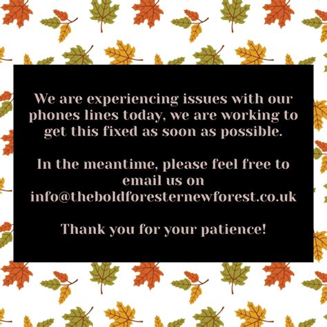 Phone Lines - The Bold Forester