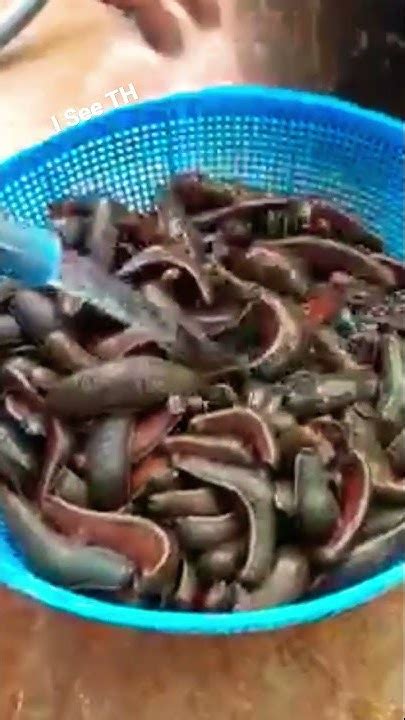 eat leech thailand shorts shortsvideo youtube