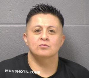 Rosas Susana Will County Mugshots Zone