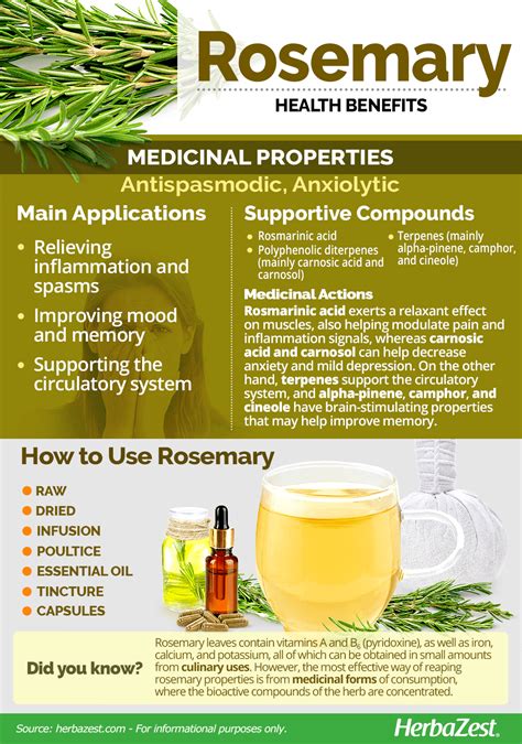 Uses Of Rosemary Plant