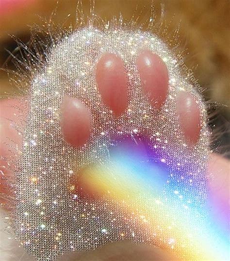 Pin By Adriana On Eloquent Glitter Photography Glitter Art