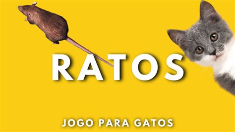 Jogos Para Gatos Ratos Youtube