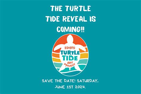 Events And News Edisto Beach Sea Turtles