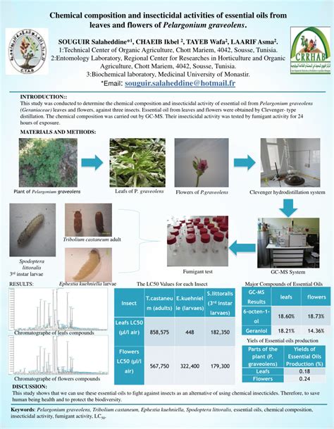 Pdf Chemical Composition And Insecticidal Activities Of Essential