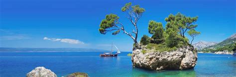Berulia travel