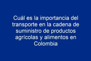 Cu L Es La Importancia Del Transporte En La Cadena De Suministro De