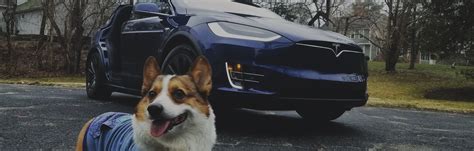 Tesla Model 3 Elon Musk Approves ‘dog Mode With 3 Important Features