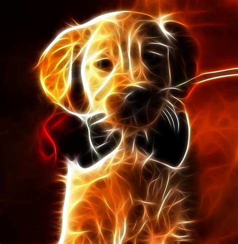 Neon Puppy Wallpaper - Pets Lovers