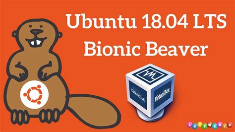 Cara Install Ubuntu Bionic Beaver 18 04 LTS Di VirtualBox YouTube