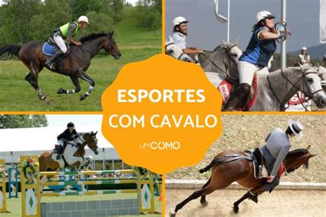 8 tipos de esportes com cavalo