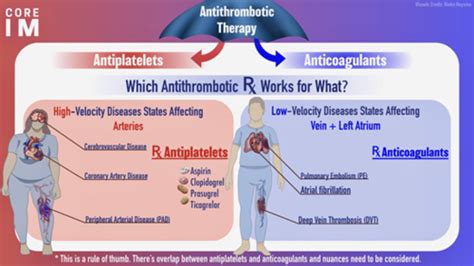 Ch Drugs Affecting Blood Coagulation Flashcards Quizlet