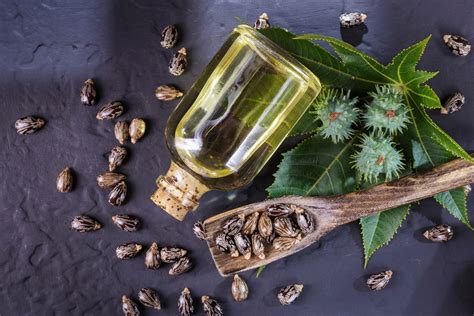 Beneficios Do Oleo De Mamona - Descubra os Benefícios do Óleo de Mamona para sua Empresa
