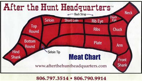 How To Cut Up A Deer A Step By Step Diagram For Beginners