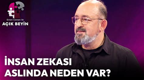 Nsan Zekas Asl Nda Neden Var Sinan Canan Ile A K Beyin Youtube