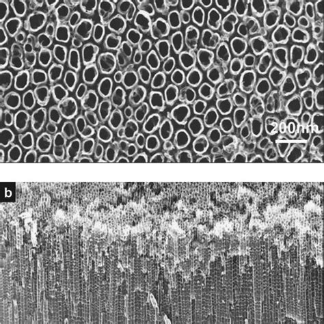 Typical SEM Images Of The Top And Cross Sectional Views For The N Doped