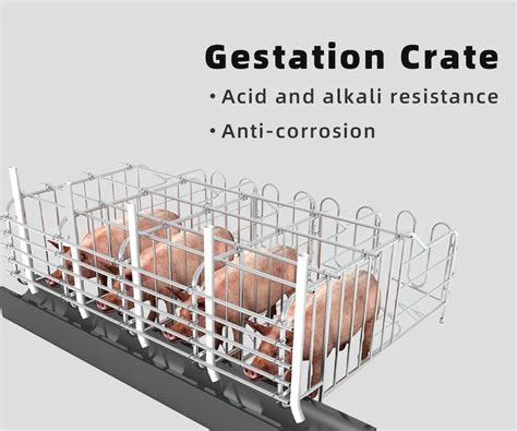 Gestation Crates For Pigs Sow Gestation Stall Sow Pregnancy Cage - Buy Pig Cage,Pig Farm ...