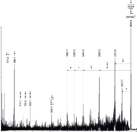 Maldi Tof Tof Mass Spectrum Of The M Na Molecular Ion At M Z