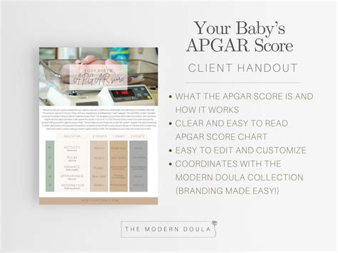 Apgar Score Doula Handout Editable Doula Handout Template Birth Doula Tools Birth Plan