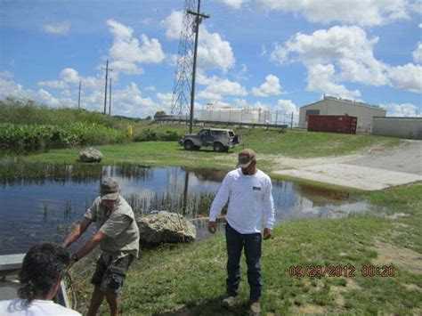 everglades rides airboat - Airboat In Everglades