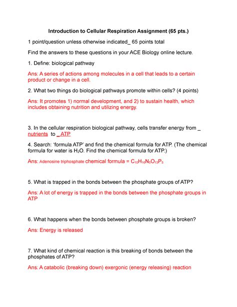 Introduction To Cellular Respiration Assignment Pts Point