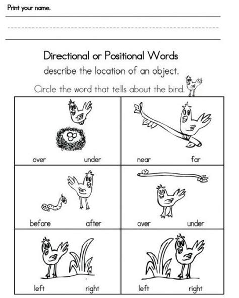 Front And Behind Worksheets For Kindergarten Positional Words