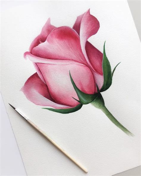 Nadezhda Savina Watercolor painting on Instagram Ещё одна роза